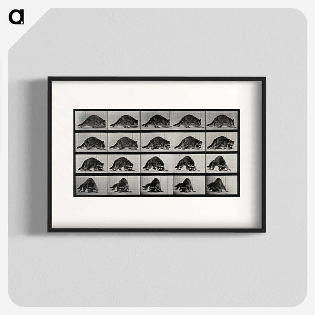 1-10_Eadweard-Muybridge_blk
