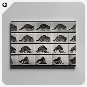 1-10_Eadweard-Muybridge_canvas