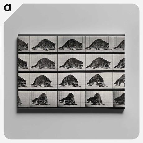 1-10_Eadweard-Muybridge_canvas
