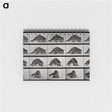 1-10_Eadweard-Muybridge_memo