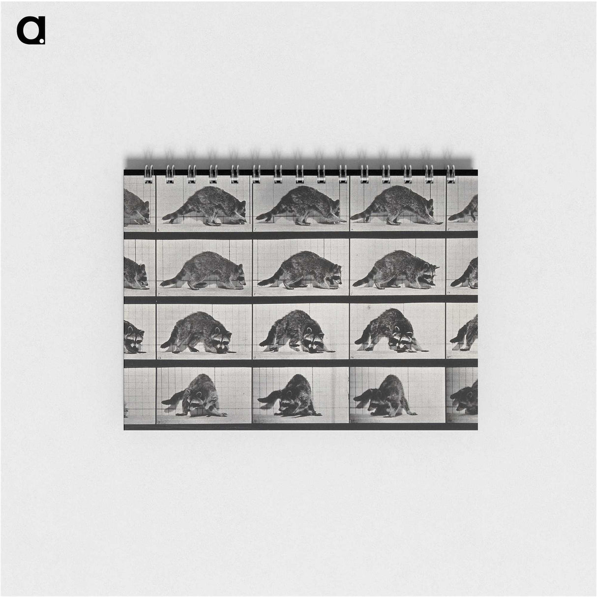 1-10_Eadweard-Muybridge_memo