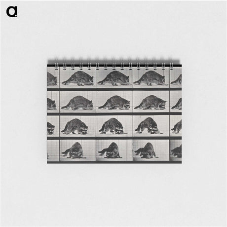 1-10_Eadweard-Muybridge_memo