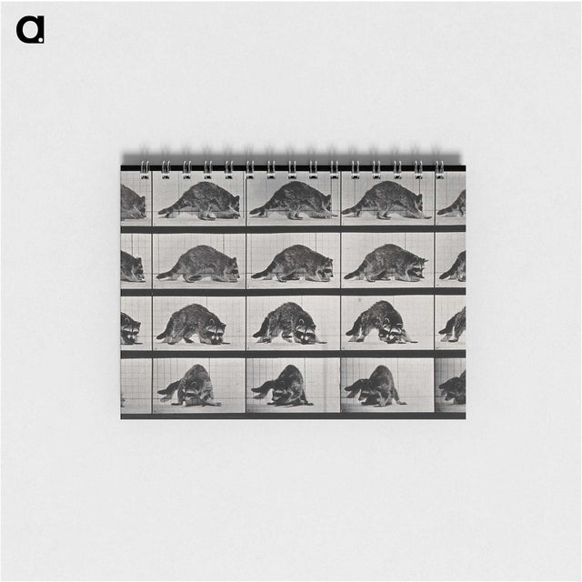 1-10_Eadweard-Muybridge_memo