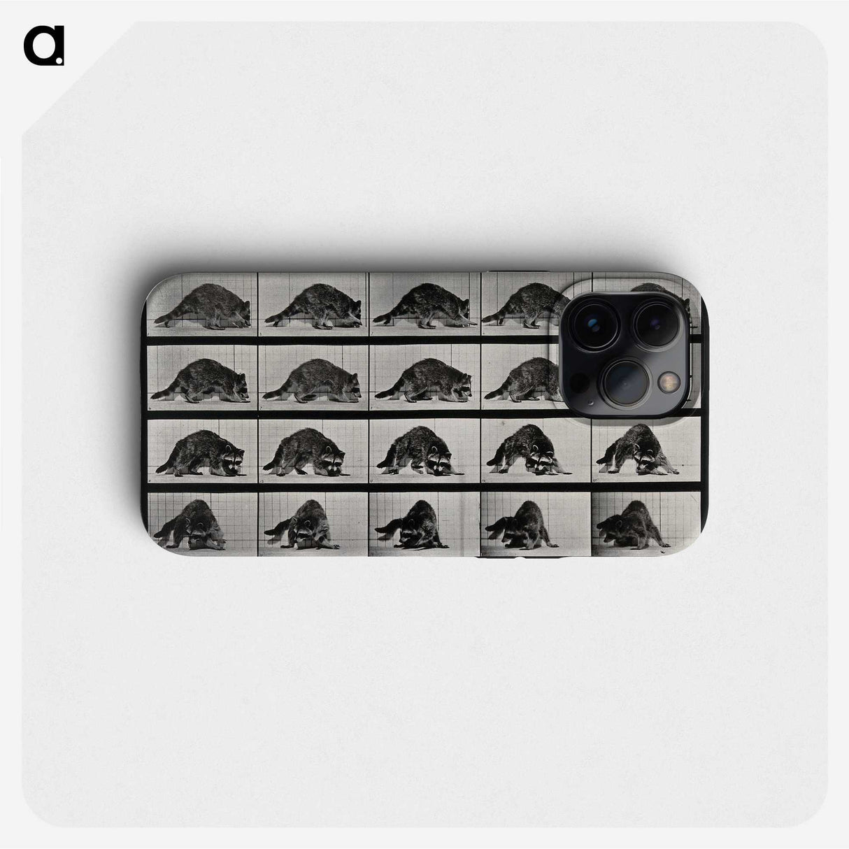 1-10_Eadweard-Muybridge_phone