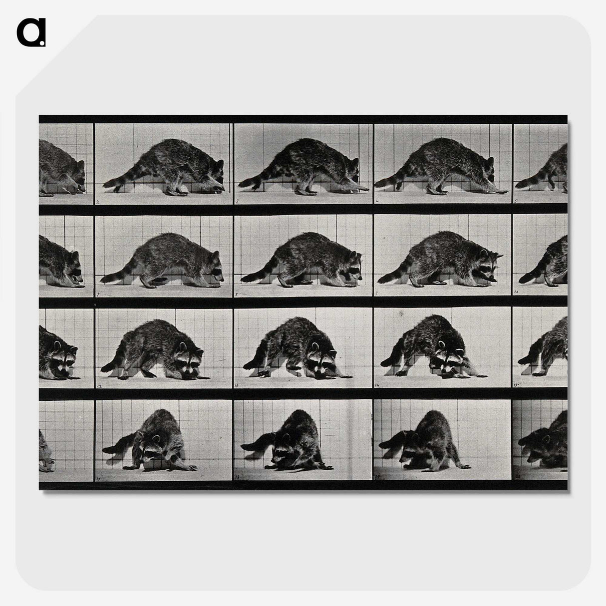 1-10_Eadweard-Muybridge_picture-crop