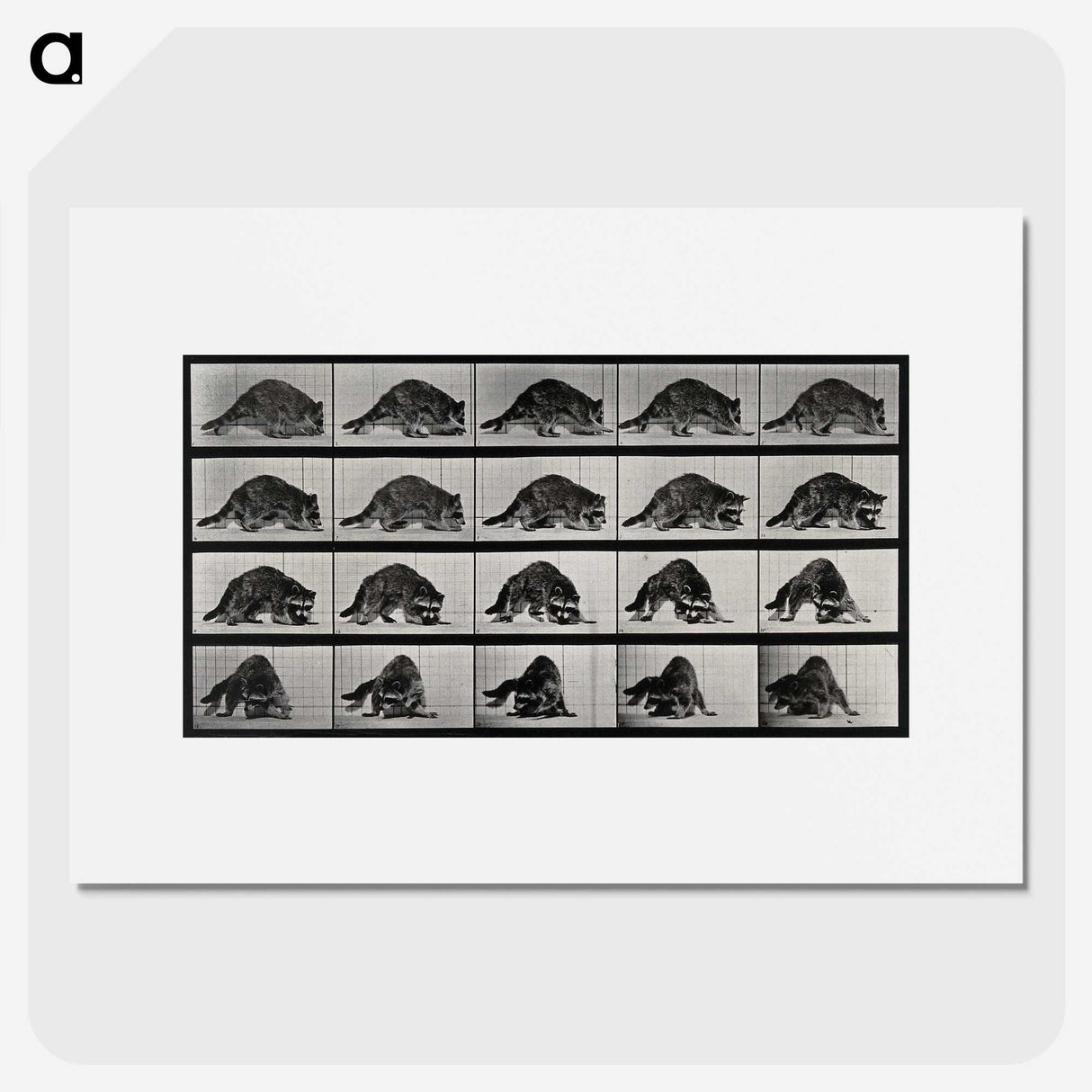 1-10_Eadweard-Muybridge_picture
