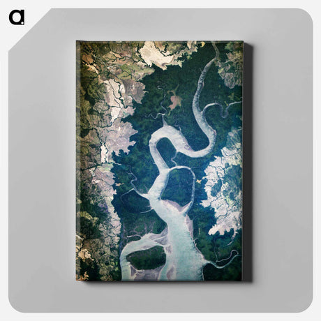 アートパネル-Earth Observation from the International Space Station
 - 上空からの地球 Canvas.
