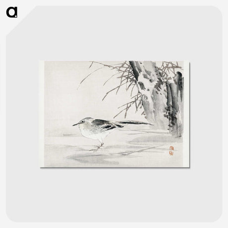 1-10_Egyptian-Grecian-and-Roman-Costumes_postcard