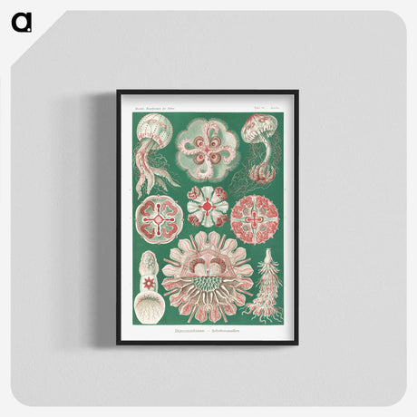 1-10_Ernst-Haeckel_blk-crop