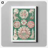 1-10_Ernst-Haeckel_canvas