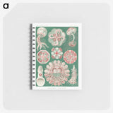 1-10_Ernst-Haeckel_memo