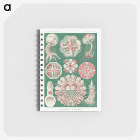 1-10_Ernst-Haeckel_memo