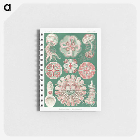 1-10_Ernst-Haeckel_memo