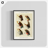 1-10_Favorite-Flies-and-Their-History_blk-crop