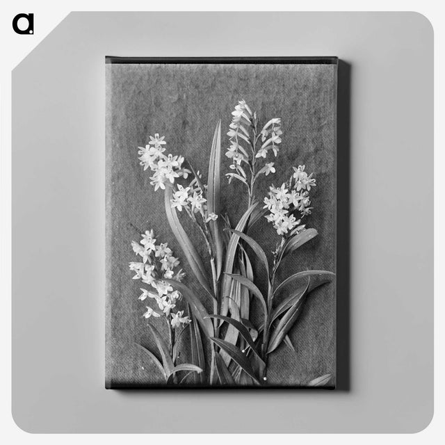 1-10_Frederick-Charles-Brockett_canvas