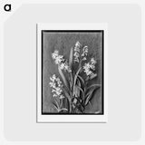 1-10_Frederick-Charles-Brockett_hagaki