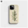1-10_Georg-Dionysius-Ehret_phone