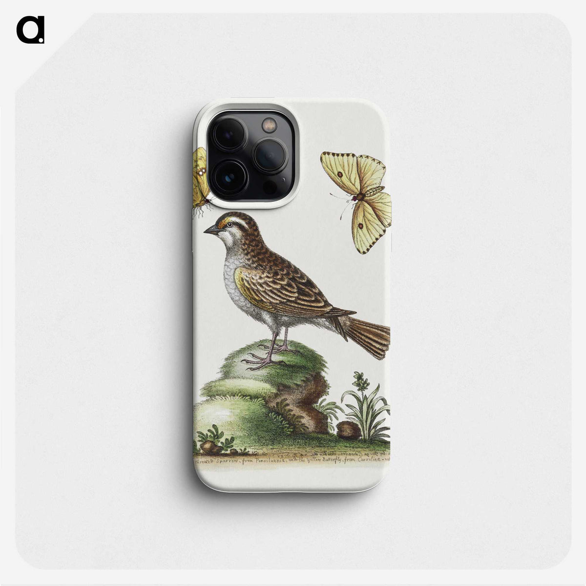 1-10_George-Edwards_phone
