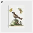 1-10_George-Edwards_postcard