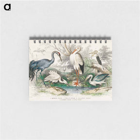 アートメモ帳-Wading Birds
 - ゴールドスミスの生き生きとした自然 Memo.