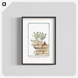 1-10_Hortus-Romanus-Botanical-Plates_blk