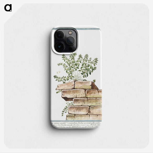 1-10_Hortus-Romanus-Botanical-Plates_phone