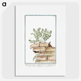 1-10_Hortus-Romanus-Botanical-Plates_picture