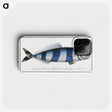 1-10_Ichtyologie-ou-Histoire-naturelle_phone