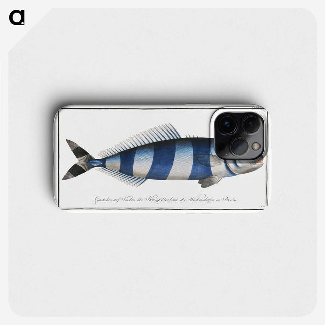 1-10_Ichtyologie-ou-Histoire-naturelle_phone
