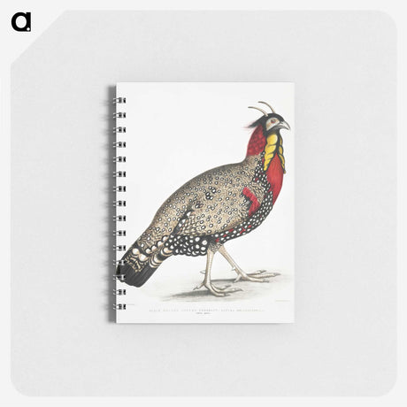 1-10_Indian-Zoology_memo