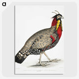 1-10_Indian-Zoology_picture-crop