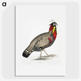 1-10_Indian-Zoology_picture