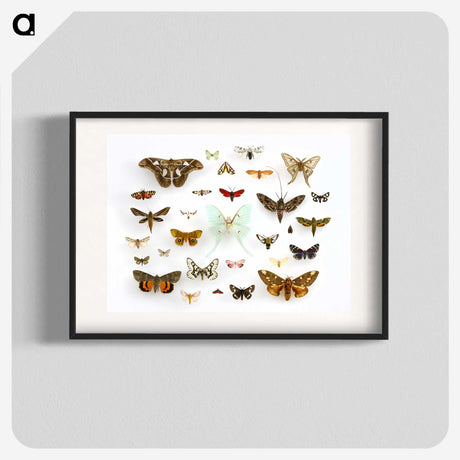 1-10_Insects-Unlocked-Project_blk