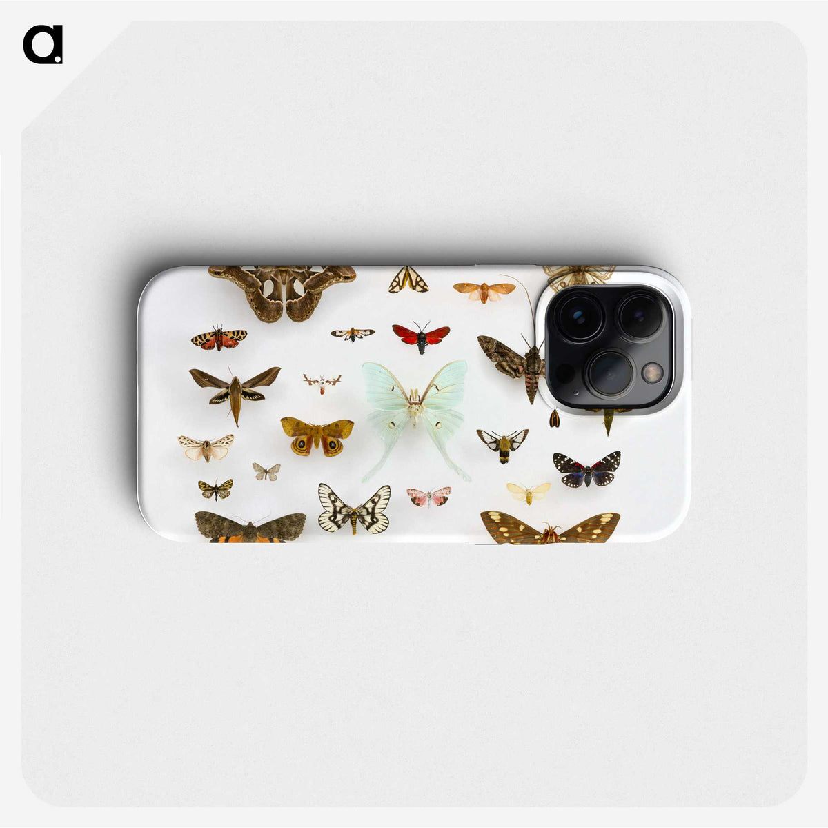 1-10_Insects-Unlocked-Project_phone