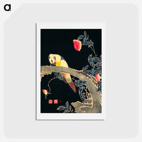 アートポストカード-Parrot on the Branch of a Flowering Rose Bush
 - 伊藤若冲 Postcard.
