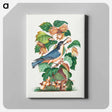 アートパネル-Beautiful Nuthatch
 - ジェームズ ボルトン Canvas.