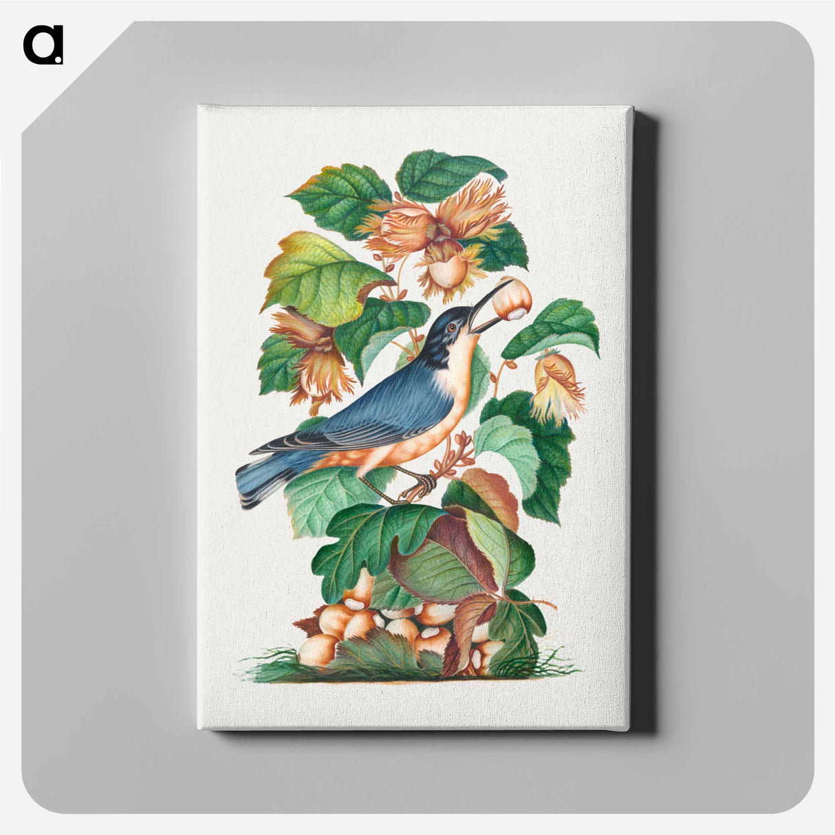 アートパネル-Beautiful Nuthatch
 - ジェームズ ボルトン Canvas.