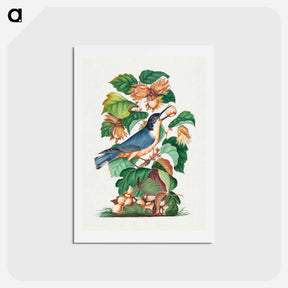 アートポストカード-Beautiful Nuthatch
 - ジェームズ ボルトン Postcard.