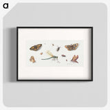1-10_Jan-Van-Kessel_blk