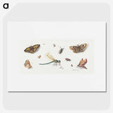 1-10_Jan-Van-Kessel_picture