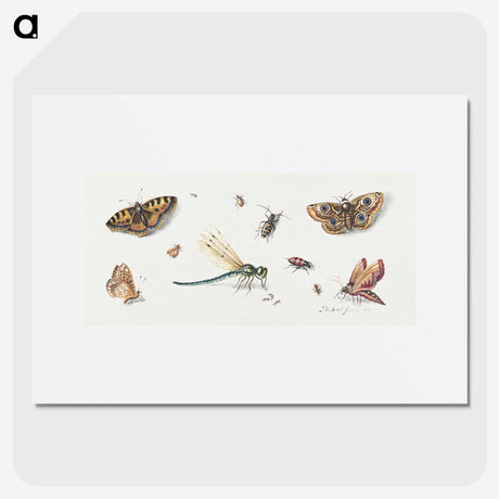 1-10_Jan-Van-Kessel_picture