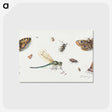 1-10_Jan-Van-Kessel_postcard