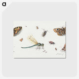 1-10_Jan-Van-Kessel_postcard