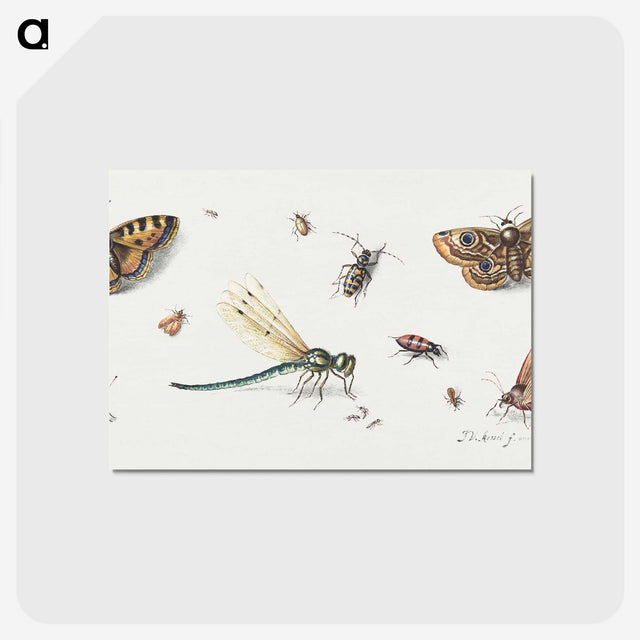 1-10_Jan-Van-Kessel_postcard