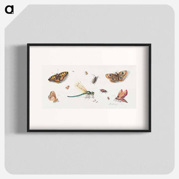 Insects and Butterflies
 - ヤン ファン ケッセル Poster.