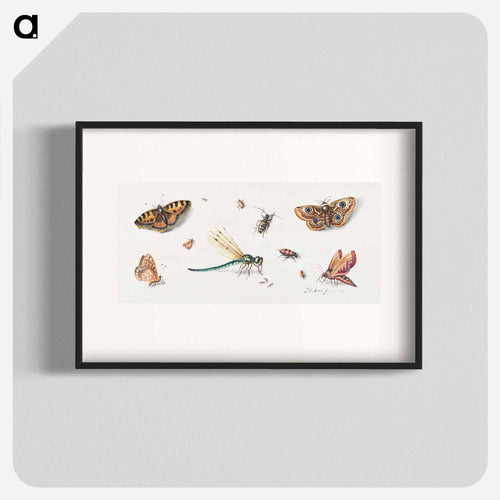 Insects and Butterflies
 - ヤン ファン ケッセル Poster.