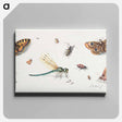 アートパネル-Insects and Butterflies
 - ヤン ファン ケッセル Canvas.