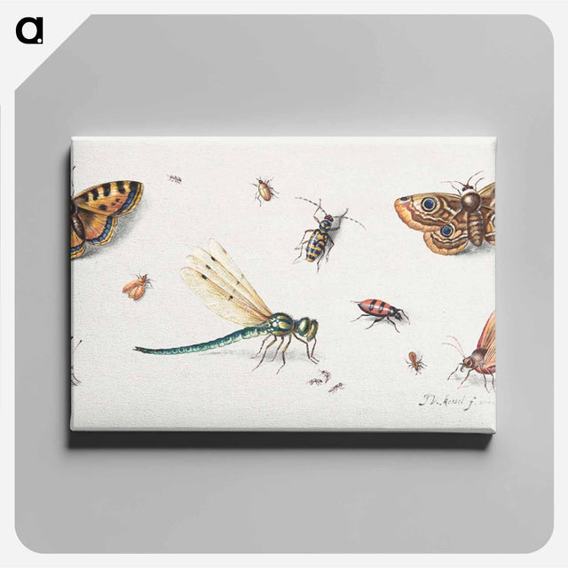 アートパネル-Insects and Butterflies
 - ヤン ファン ケッセル Canvas.