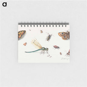 アートメモ帳-Insects and Butterflies
 - ヤン ファン ケッセル Memo.