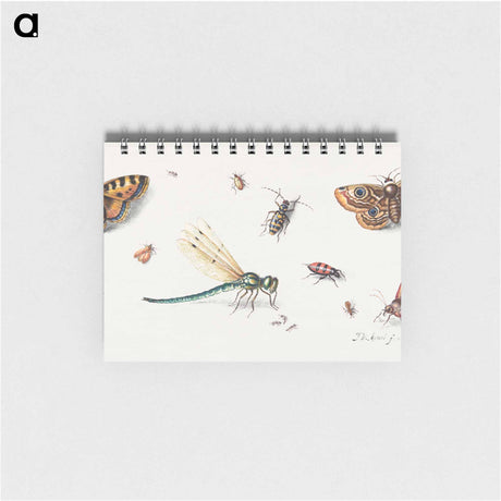 アートメモ帳-Insects and Butterflies
 - ヤン ファン ケッセル Memo.